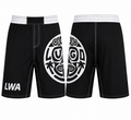 Lugo Wrestling Academy Fight Shorts